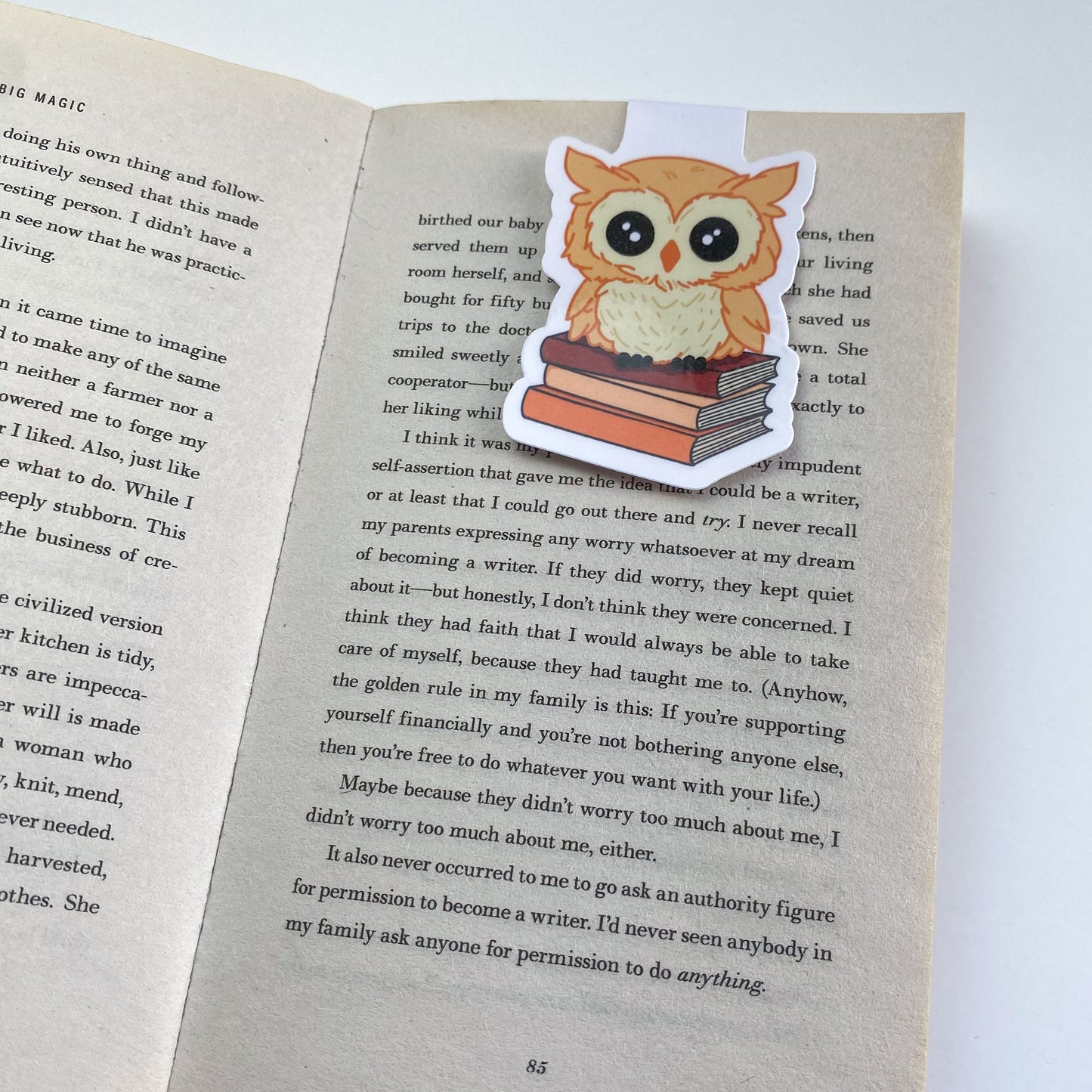 Magnetic Bookmark - Otto with Books - Kawaii Owl